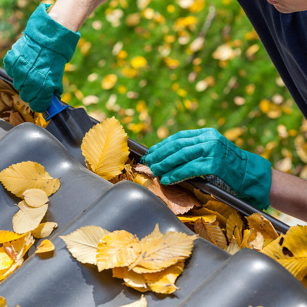 Rain Gutter cleaning in Greeley Colorado and Northern Counties.